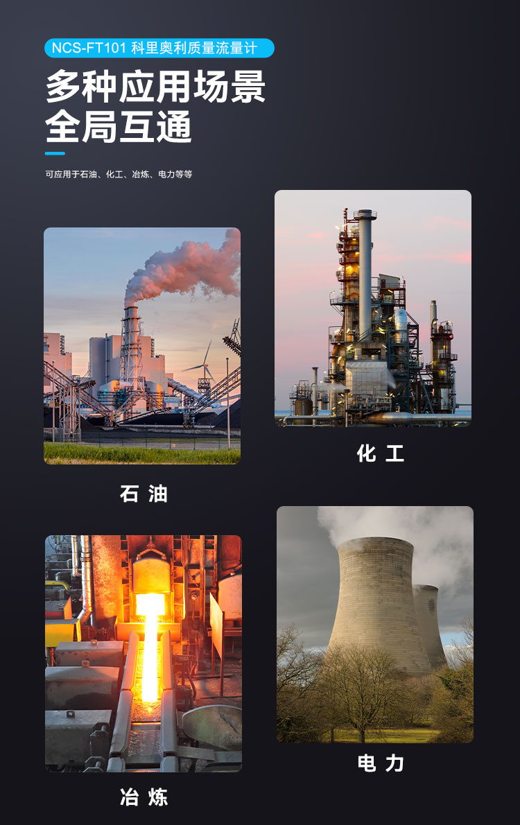 NCS-FT101 科里奧利質(zhì)量流量計.png